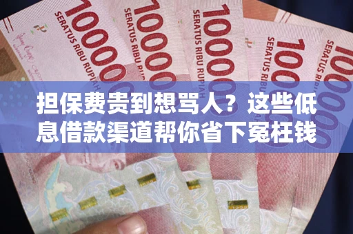 北京担保费贵到想骂人？这些低息借款渠道帮你省下冤枉钱