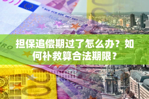 北京担保追偿期过了怎么办？如何补救算合法期限？