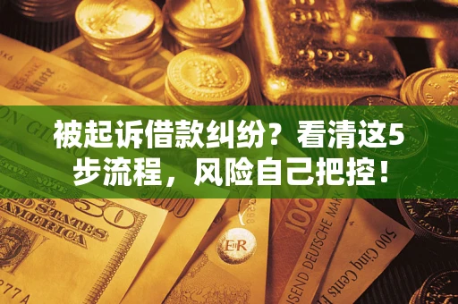 北京被起诉借款纠纷？看清这5步流程，风险自己把控！