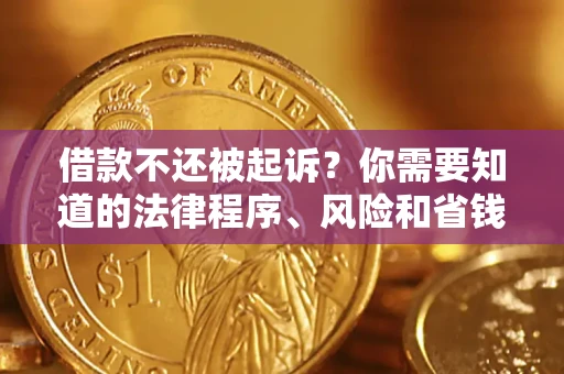 北京借款不还被起诉？你需要知道的法律程序、风险和省钱技巧