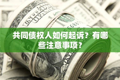 北京共同债权人如何起诉？有哪些注意事项？